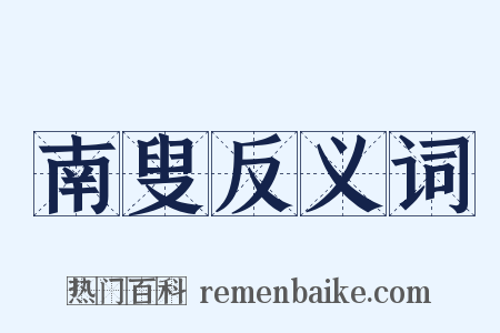 南叟反义词是什么意思的图片